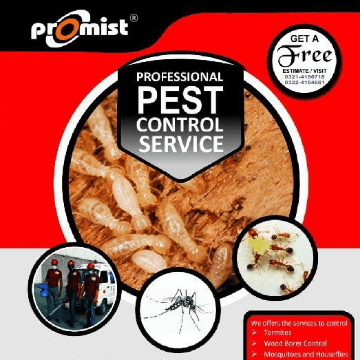 Covid-19 , Insects And Pest 🪳🦟 Control